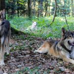 518374513 24564414479809346 6387376481978351334 n